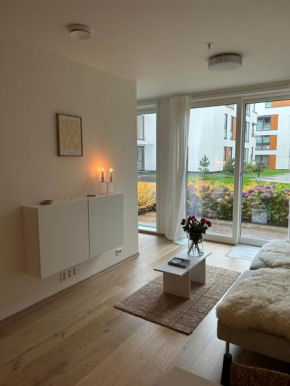 Central apartment with high standard